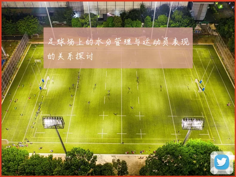 足球场上的水分管理与运动员表现的关系探讨