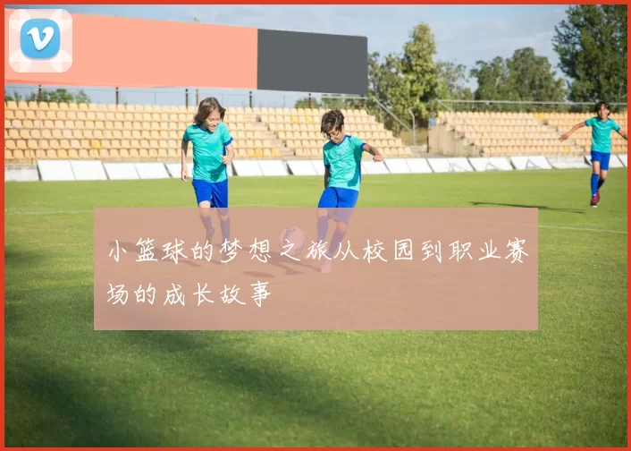 小篮球的梦想之旅从校园到职业赛场的成长故事