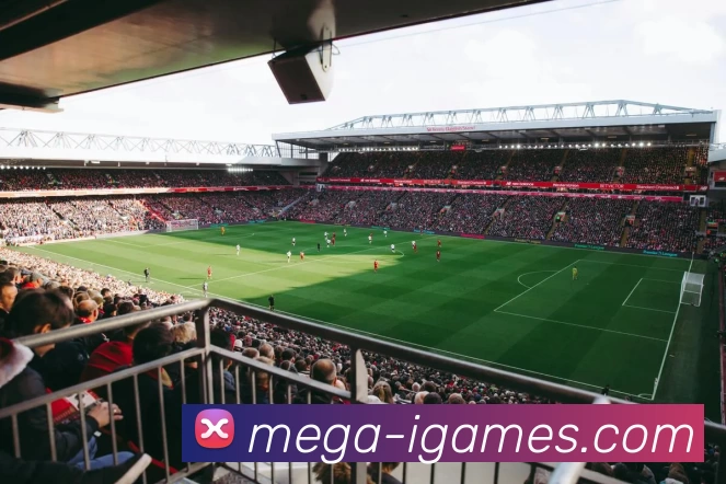 爱游戏App服务体系